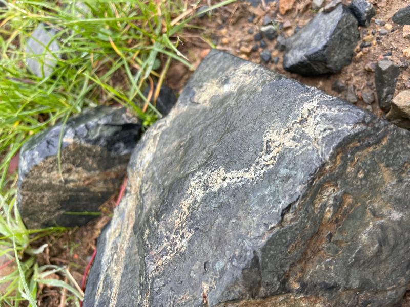 Pierres bleues aka. Roche Volcanique métamorphique Métapéridotite Serpentinite au domaine Rostaing-Tayard